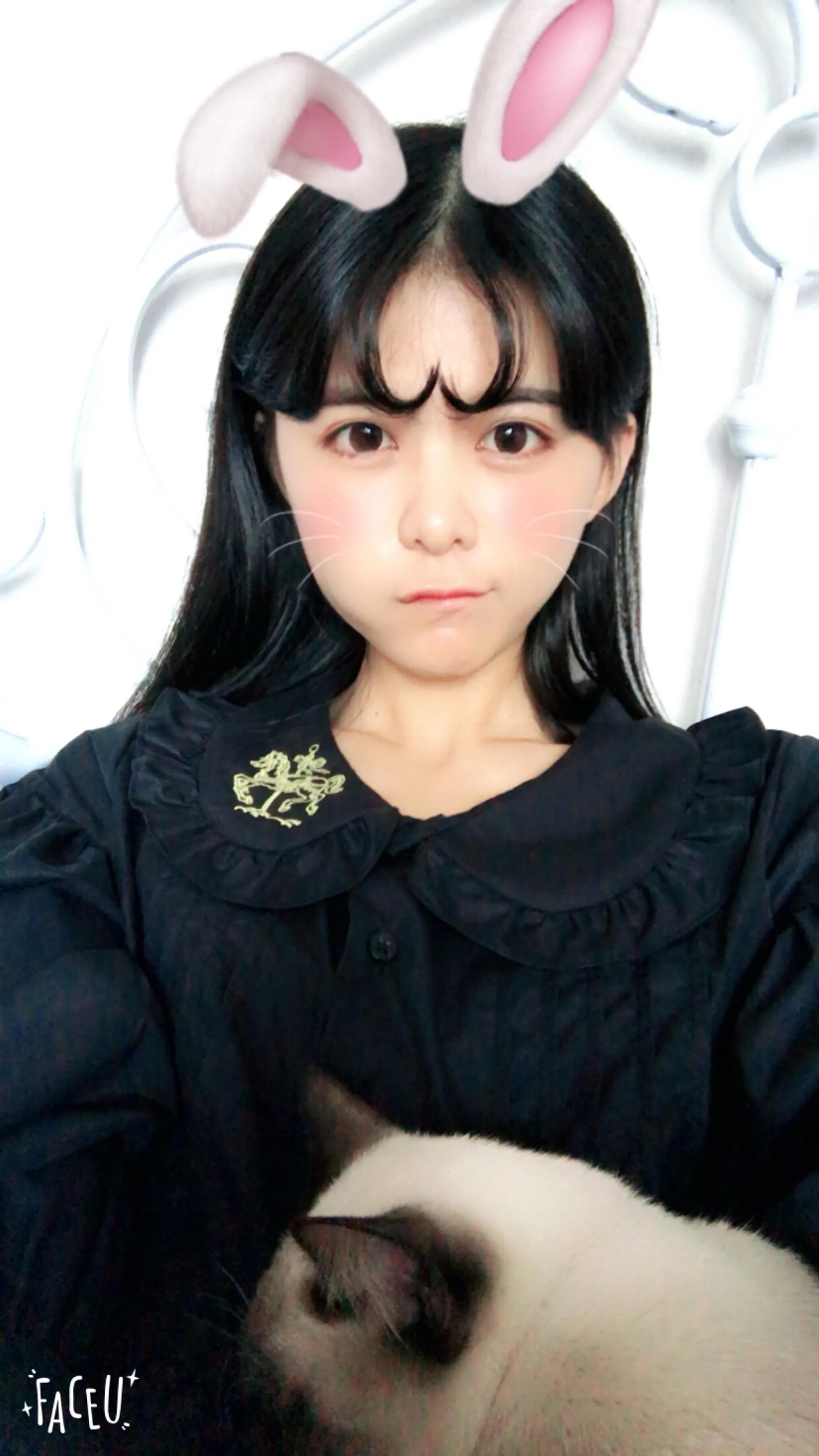 眼酱大魔王w – NO.008 各种杂图合集 [3.15GB]-脸照和杂图 [251P]插图5